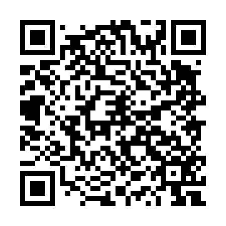 QR code for plate DQX 456