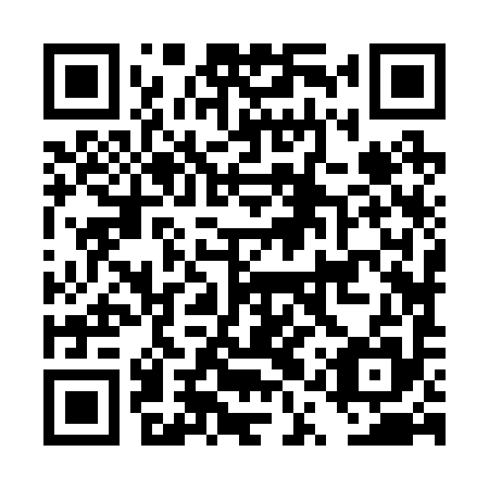 QR code for DQZ295