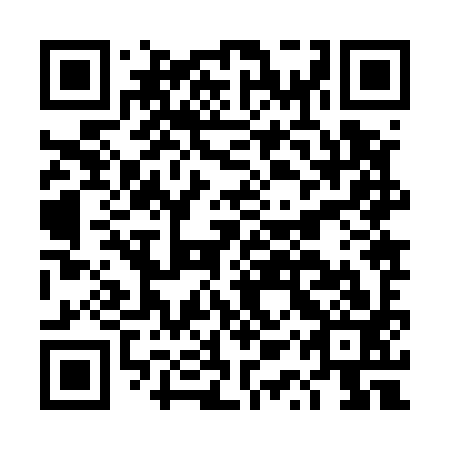QR code for DQZ593