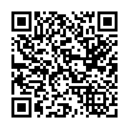 QR code for DR 0333