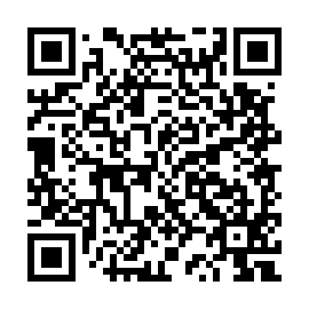 QR code for DR0595