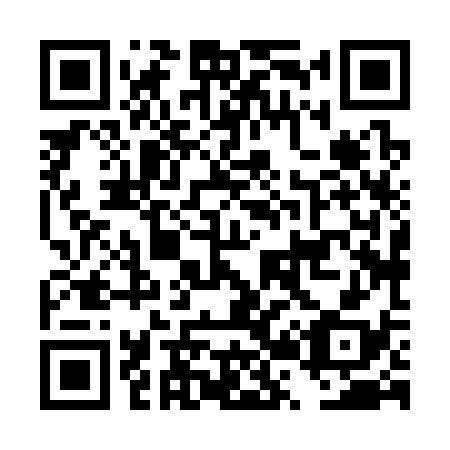 QR code for DR8338
