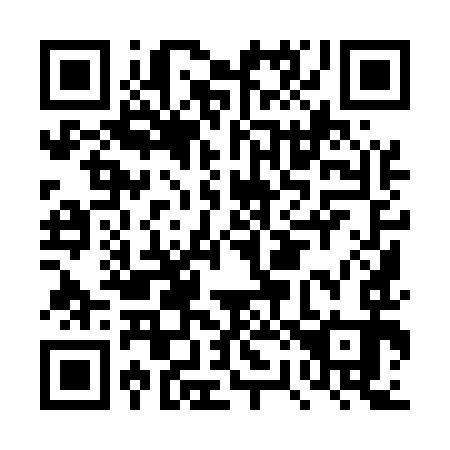 QR code for plate DR 9593