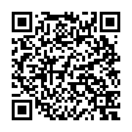 QR code for DRC 339