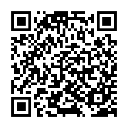 QR code for plate DRC 307