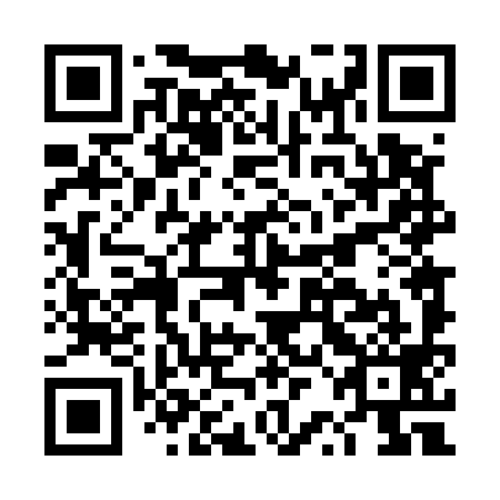 QR code for plate DRD 599