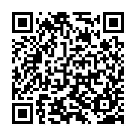 QR code for DRG 384