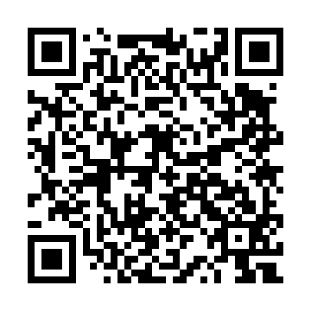 QR code for plate DRK 493