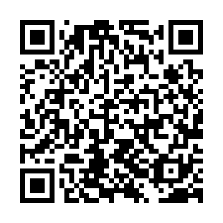 QR code for plate DRL 371