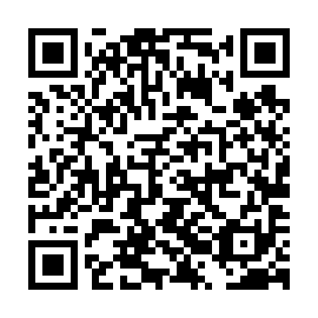 QR code for plate DRL 691