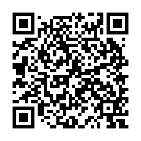 QR code for DRU 293