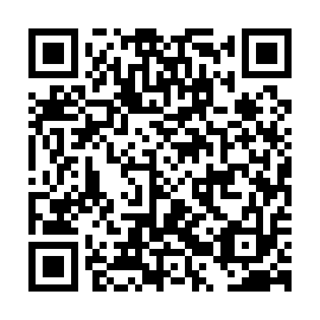 QR code for plate DRU 113