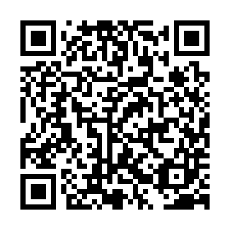 QR code for plate DRU 383