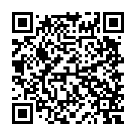 QR code for plate DRU 483