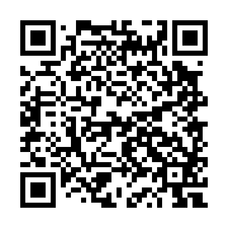 QR code for DS 0082