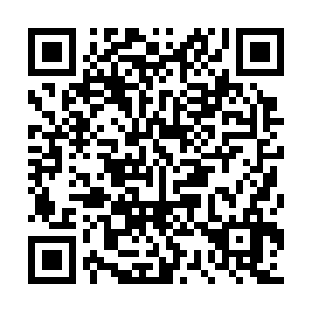 QR code for DS 0336