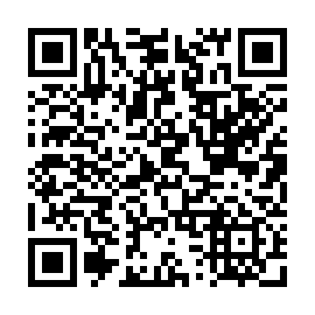 QR code for DS 0339