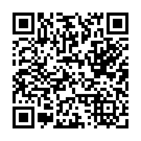 QR code for DS 0381