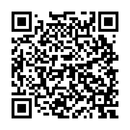 QR code for DS 0384