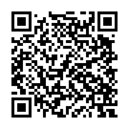 QR code for DS 0447