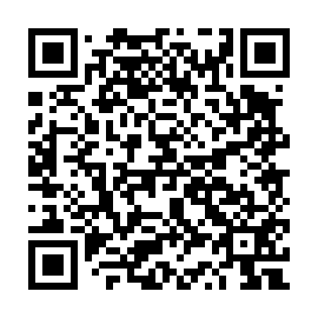 QR code for DS 0451
