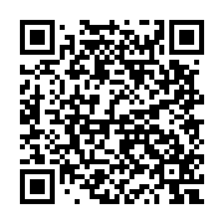 QR code for DS 0517
