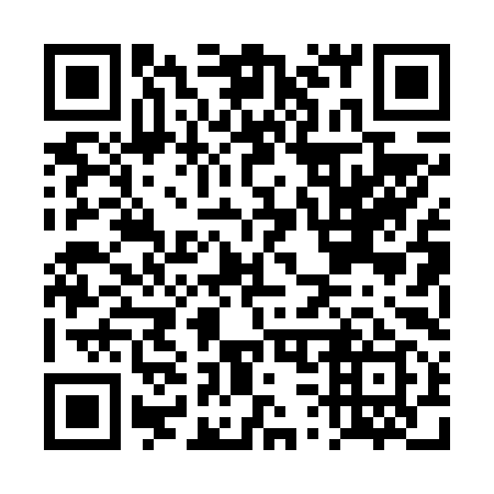 QR code for DS 0699