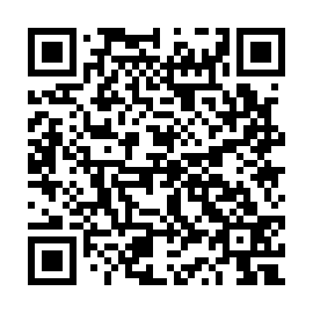 QR code for DS 1133
