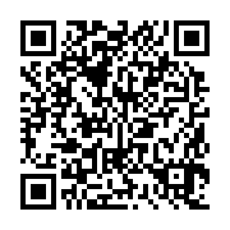 QR code for DS 1387