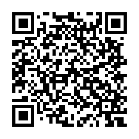 QR code for DS 1541