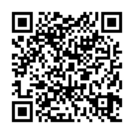 QR code for DS 2029