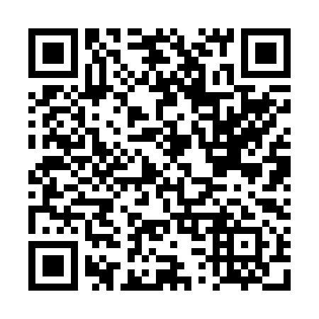 QR code for DS 2291