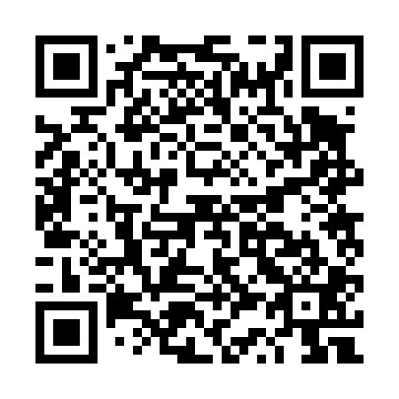 QR code for DS 2401