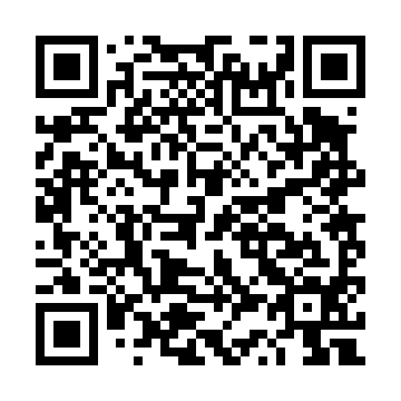 QR code for DS 2494