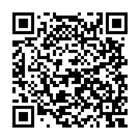 QR code for DS 2595