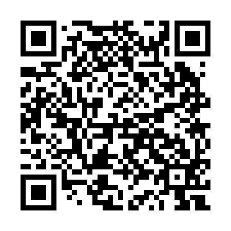 QR code for DS 3293