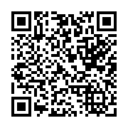QR code for DS 3384
