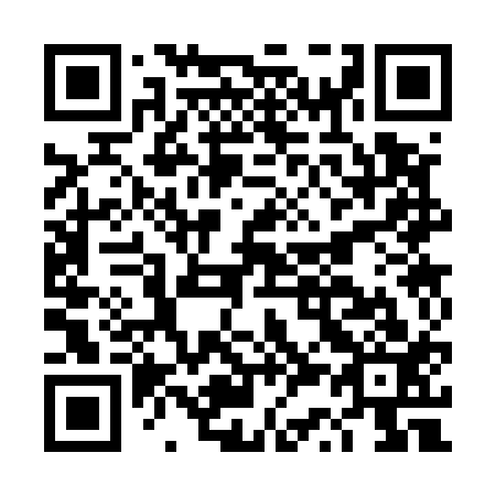 QR code for DS 3513