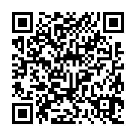 QR code for DS 3685