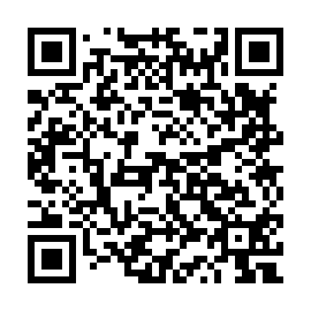 QR code for DS 3810