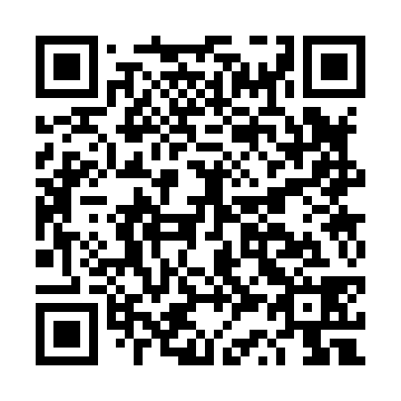 QR code for DS 3838