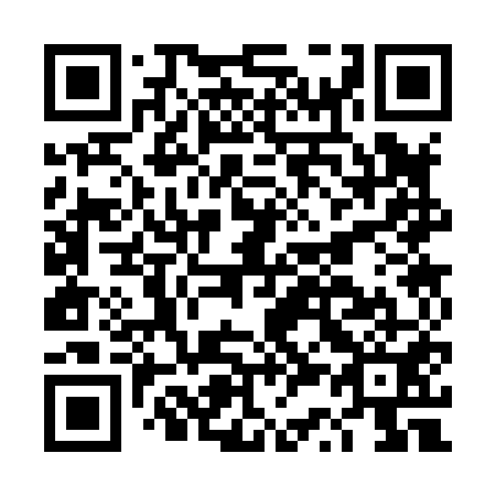 QR code for DS 3851