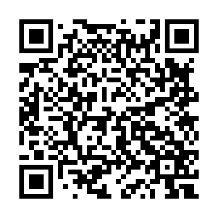 QR code for DS 3866