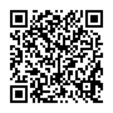 QR code for DS 3876