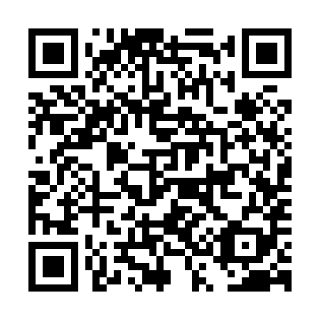 QR code for DS 3889