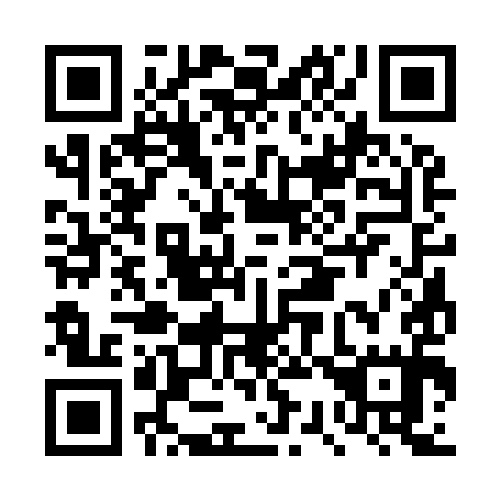 QR code for DS 3995