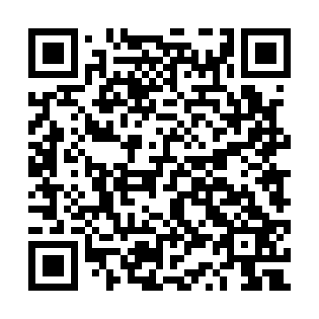 QR code for DS 4123