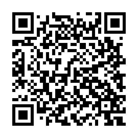 QR code for DS 4127