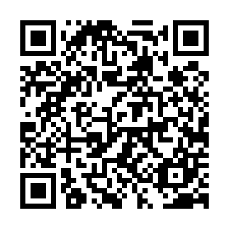 QR code for DS 4507