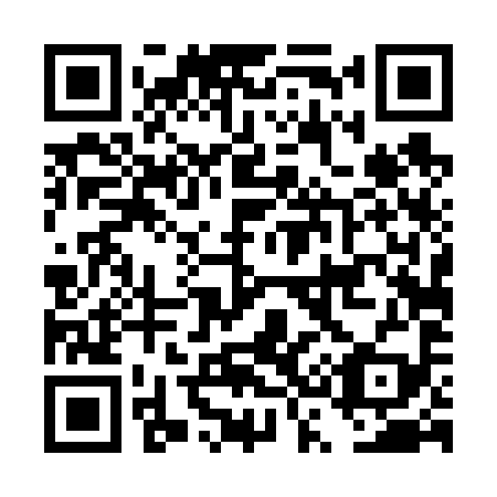 QR code for DS 4699